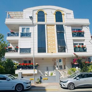 Appartement Supérieur